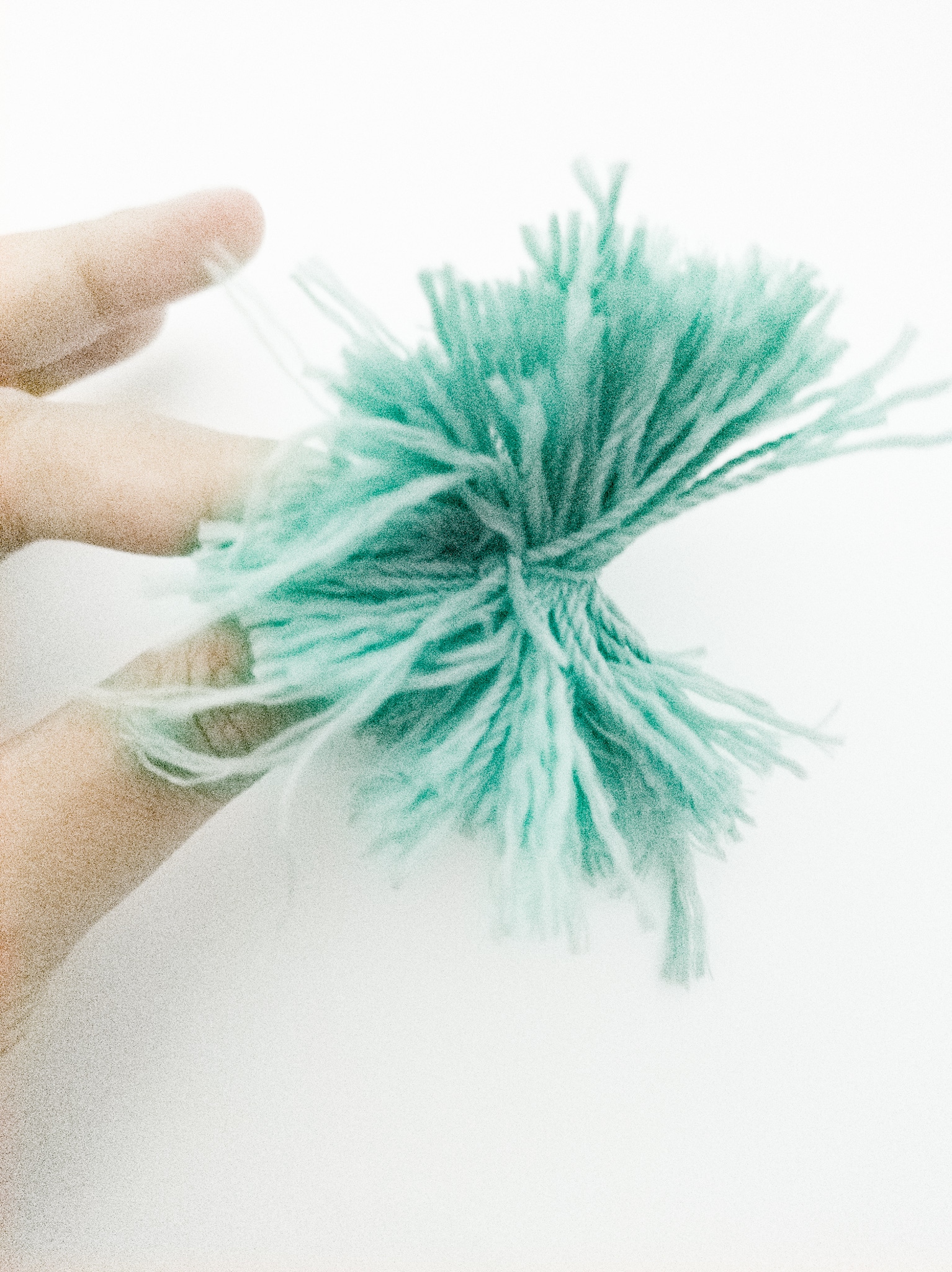 DIY Pom Pom Garland One Does Simply Cook!