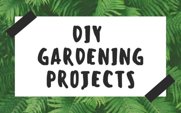 DIY Gardening Projects Every Gardener Should See