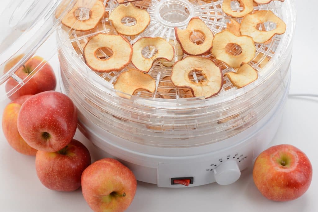 Can You Use Your Oven As A Dehydrator? 3 Ovens That Can Dry Foods One