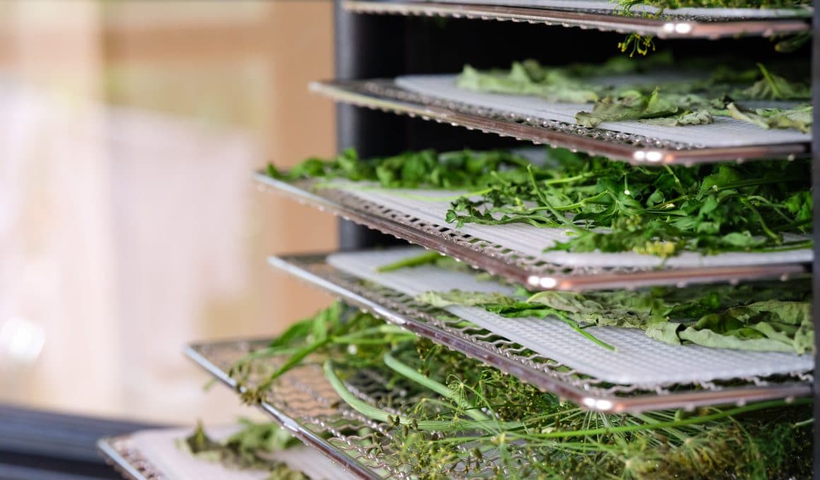 Kvittering træthed Savvy 5 Of The Best Herb Dehydrators Of 2023 And How To Use Them - One Does  Simply Cook!