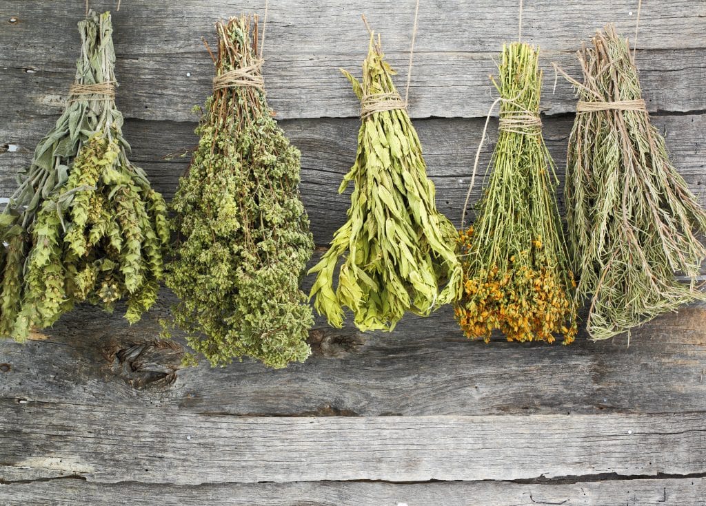 Can I Dry Herbs In The Oven? Best 2 Ovens For Drying Herbs One Does