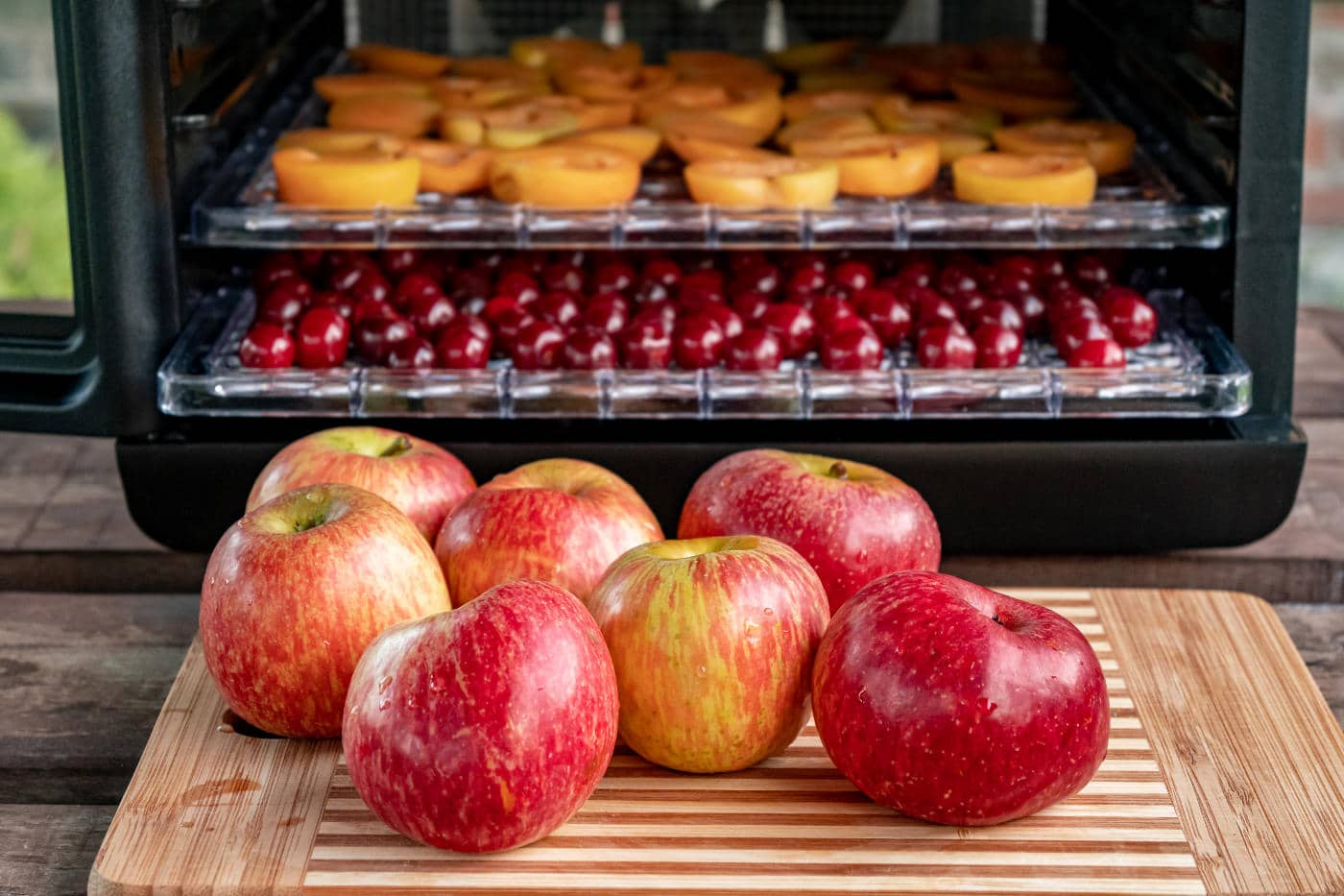 Are Dehydrated Foods Generally Healthy? See 4 Safe Dehydrators One